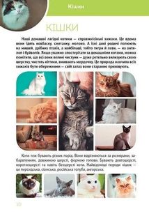 Велика книга про тварин. Зображення №3