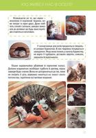 Велика книга про тварин. Зображення №4