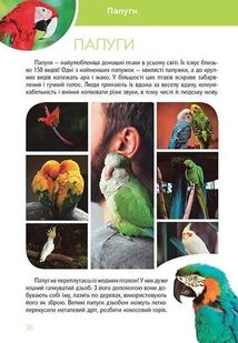 Велика книга про тварин. Зображення №5