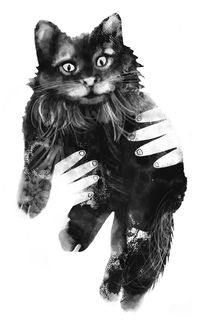 Тільки не гавкай. Зображення №2