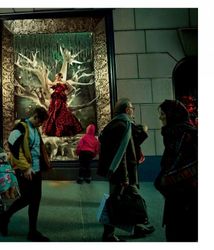 Дивокрай. Зображення №15