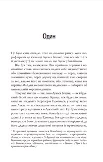 Порушник праху. Зображення №5