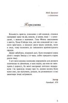Пригоди Тома Сойєра. Image №3