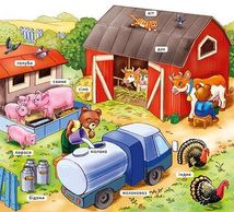 Мій перший словничок. На фермі . Image №3