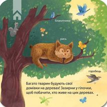 Зазирни у віконечко. Хто живе у лісі?. Зображення №5