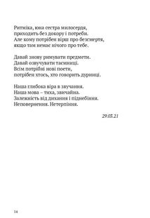 Скрипниківка. Image №8