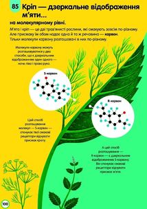 100 фактів про їжу. Зображення №14