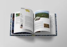 Нерозказана історія українського виноробства. Зображення №3