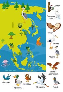 Перші розвивальні наліпки. Птахи. 35 наліпок. Image №9