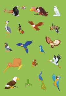 Перші розвивальні наліпки. Птахи. 35 наліпок. Image №11