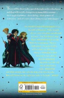 Harry Potter and the goblet of fire. Book 4 . Image №2