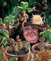 Гаррі Поттер і таємна кімната. Велике ілюстроване видання. Зображення №15