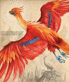 Гаррі Поттер і таємна кімната. Велике ілюстроване видання. Зображення №16