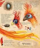 Гаррі Поттер і таємна кімната. Велике ілюстроване видання. Зображення №17