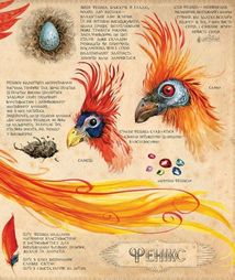 Гаррі Поттер і таємна кімната. Велике ілюстроване видання. Зображення №17