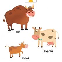 Сторінки-цікавинки. Тварини на фермі. Image №12