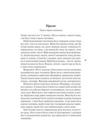 Імʼя вітру. Книга 1. Зображення №6