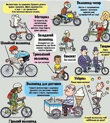 Маленькі дослідники. Транспорт. Image №4