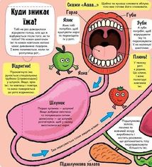 Маленькі дослідники. Моє дивовижне тіло. Зображення №5