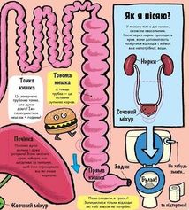 Маленькі дослідники. Моє дивовижне тіло. Зображення №6