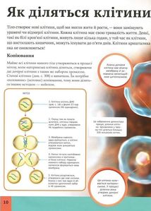 Дитяча енциклопедія тіла людини. Зображення №12