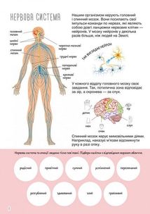 Книжка з наліпками. Тіло людини. Image №5