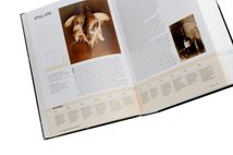 Photography. The whole story. Image №6