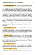 Безконтрольні. Що треба знати про бізнес-процеси? . Зображення №8