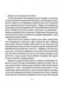 Карбід. Зображення №6