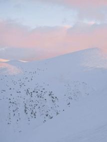 Ukraїner. Країна зсередини 2. Зображення №3