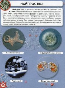 Світ навколо нас. Фотоенциклопедія. Мікросвіт. Зображення №10