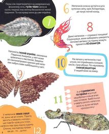 Комахи. 100 цікавих фактів. Image №4