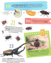 Комахи. 100 цікавих фактів. Image №7