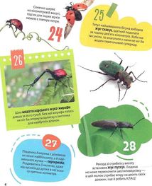 Комахи. 100 цікавих фактів. Image №8