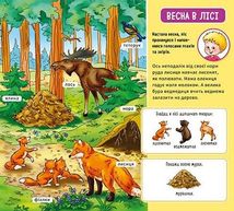 Мій перший словничок. У лісі . Image №4