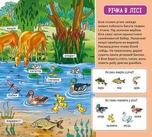 Мій перший словничок. У лісі . Image №6