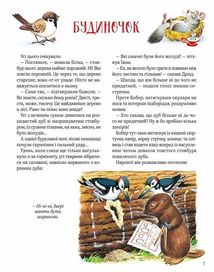 Ліс чудес. Зображення №8