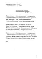 Вийшов з радіо чорний лев. Image №9