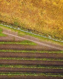 Нерозказана історія українського виноробства. Зображення №7