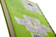 Щоденник слабака. 33 нещастя. Книга 8. Зображення №4