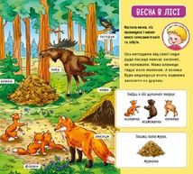 Мій перший словничок. У лісі . Image №10