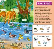 Мій перший словничок. У лісі . Image №12