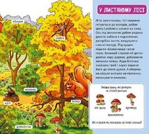 Мій перший словничок. У лісі . Image №14