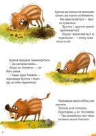 Хрячок-лісовичок. Image №7