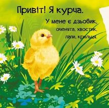 Знайомся, я курча. Image №4