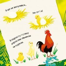 Знайомся, я курча. Image №5