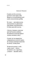 Євангеліє від ластівки. Зображення №7
