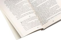 Чарівний талісман. Зображення №5