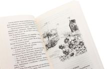 Чарівний талісман. Зображення №8