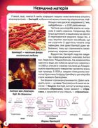 Світ навколо нас. Фотоенциклопедія. Бактерії. Image №8